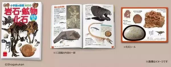 「マクドナルド“さかなクン”とコラボ、ハッピーセットに絵本「さかなクンとうみのなかのがっこう」、映画「さかなのこ」主演“のん”と描いたイラストシール付き」の画像