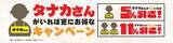 「串カツが値段そのままで「最大2倍」にデカくなる　豚もレンコンもチーズも…一品メニューまで（対象11品）　名前が「タナカ」さんは全員割引」の画像13