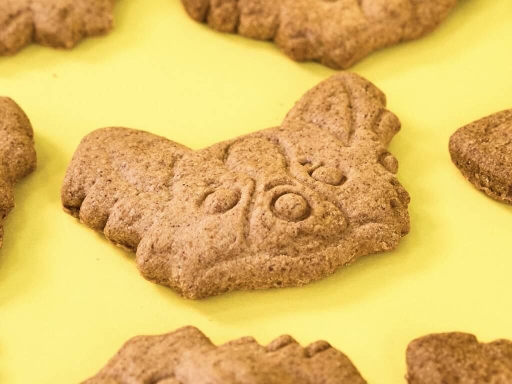 シェイク シャック、日本上陸10周年で特別メニュー発売/ミシュラン2つ星 日本料理店「傳」と再コラボ【2日間限定】