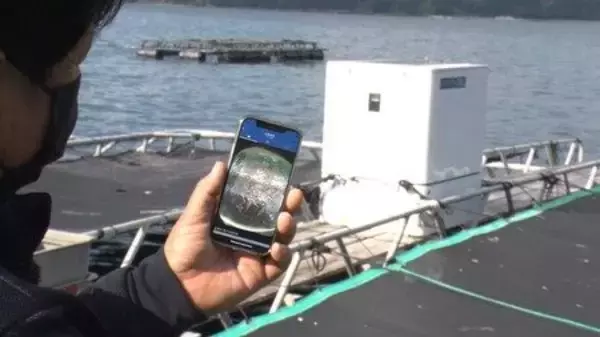 「くら寿司、AI技術を活用して700g超まで育成した養殖サバ「大型生さば」発売 / 仕入れ価格の高騰や人手不足などの課題に取り組む」の画像