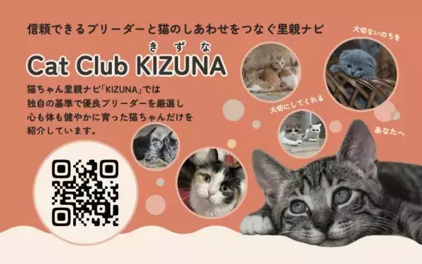 保護猫と飼い主をつなぐサイト「Cat Club KIZUNA」、猫の日2月22日にオープン