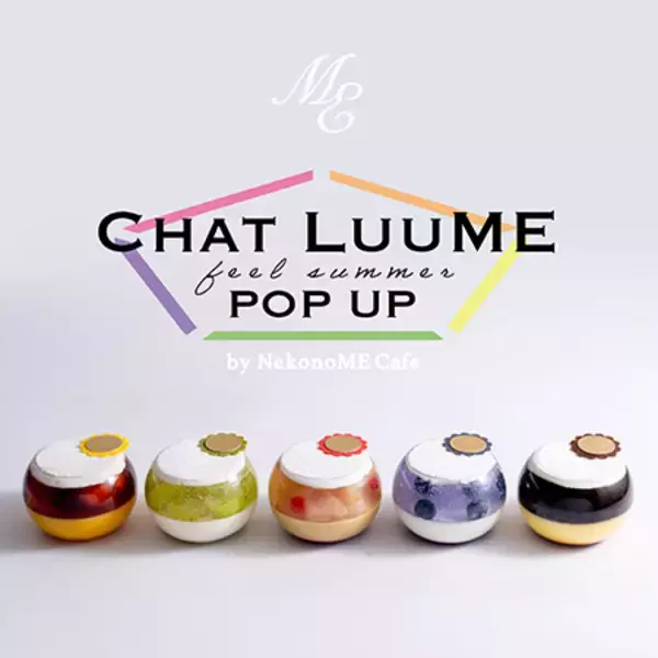 【東京都足立区】EC限定の洋菓子店「Chat LuuME」が北千住マルイにてPOP UPストアを出店！