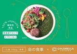 「筑後産クロレラのレトルトカレーが発売！テーマは美容・健康・予防、ビタミンB・Dなど含有」の画像1