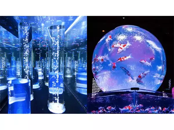 日本初！2000匹の魚を展示するカフェ型水族館が越谷にOPEN