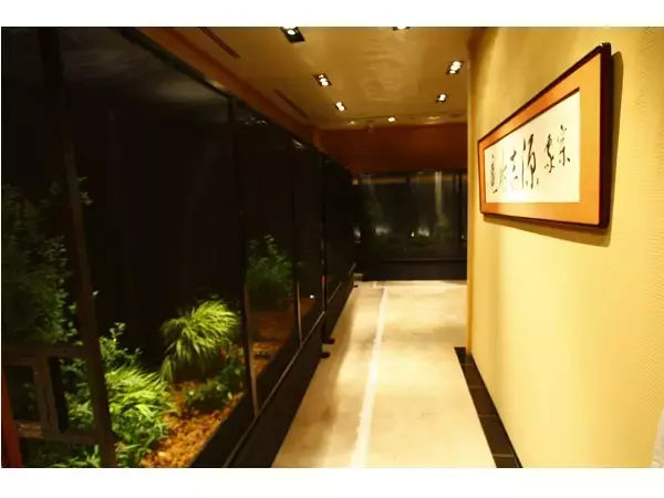 銀座でホタルを鑑賞！約600匹の「源氏ボタル観賞会」開催