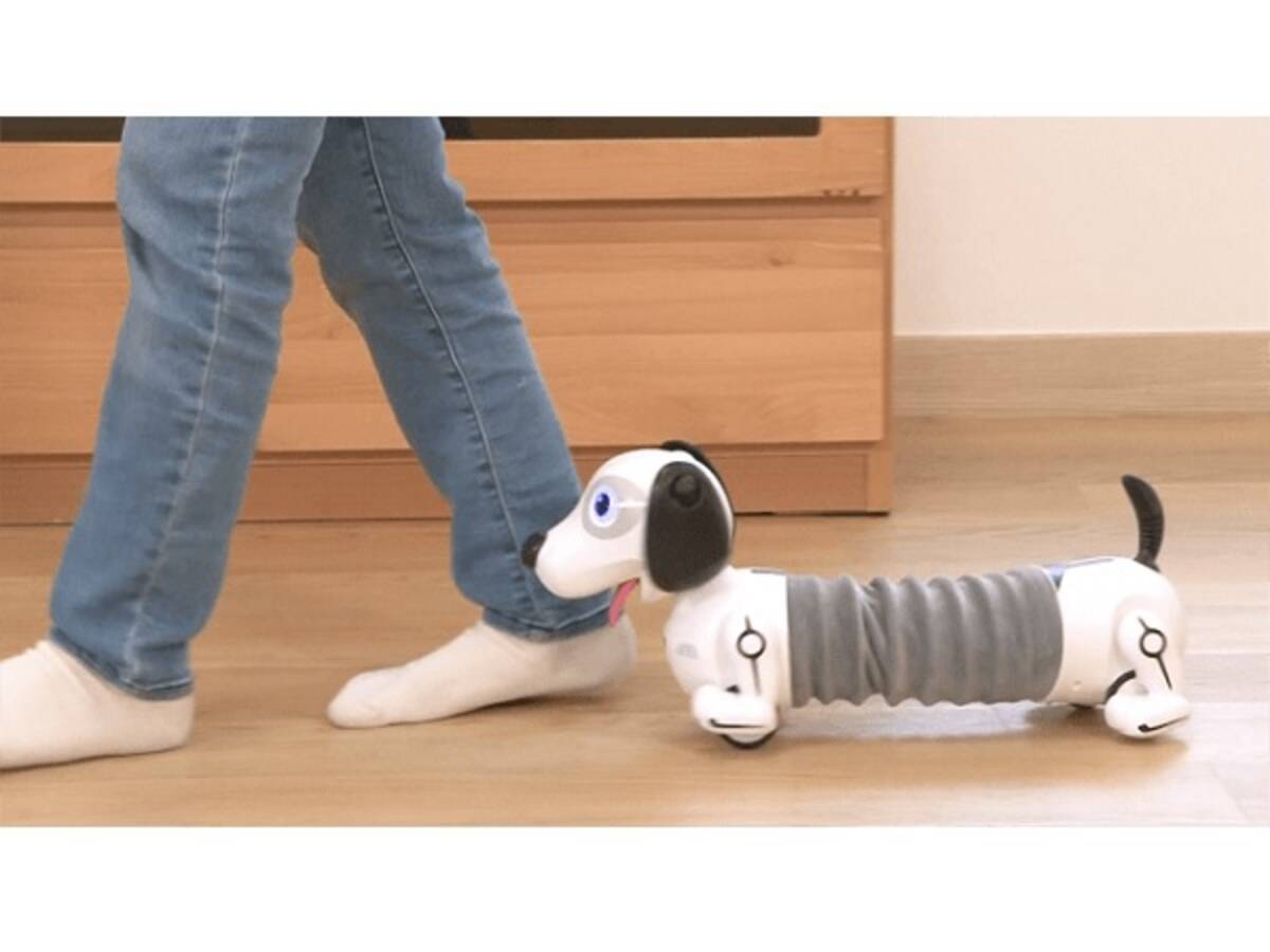 まるで本物の犬 ロボットトイ ボンゴ が賢い かわいすぎ 19年10月17日 エキサイトニュース