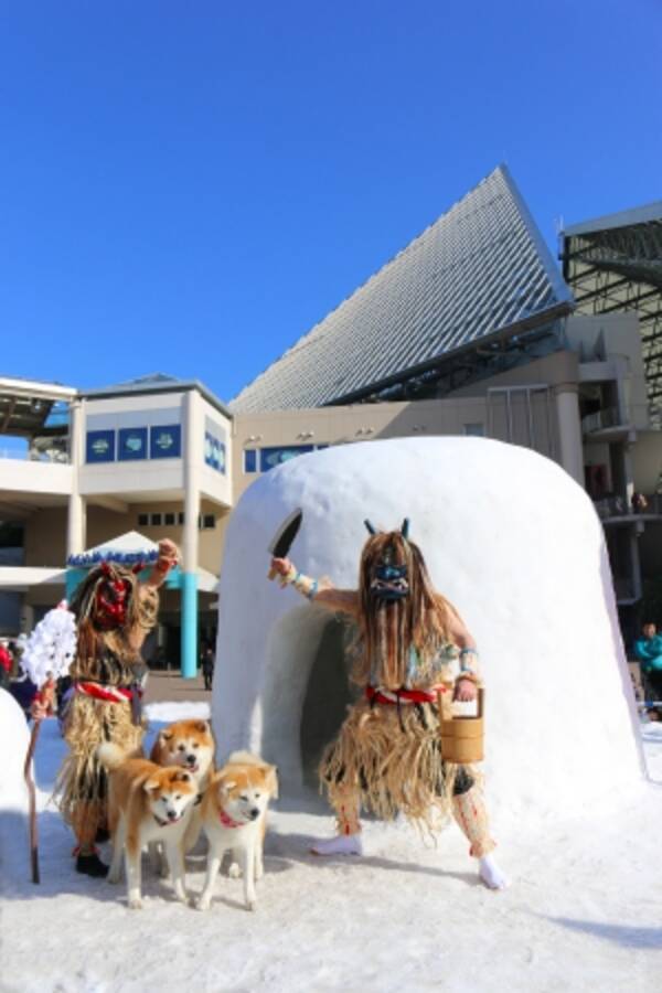 横浜 八景島シーパラダイスに秋田の ナマハゲ かまくら が登場 年1月9日 エキサイトニュース