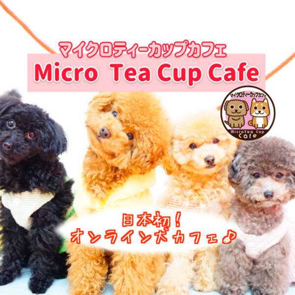 可愛い姿に癒される 日本初 オンライン犬カフェ がスタート 年5月13日 エキサイトニュース