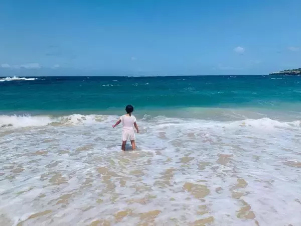 プラスチックフリーについて考えよう！「オンラインエキスポ」6月27日開催