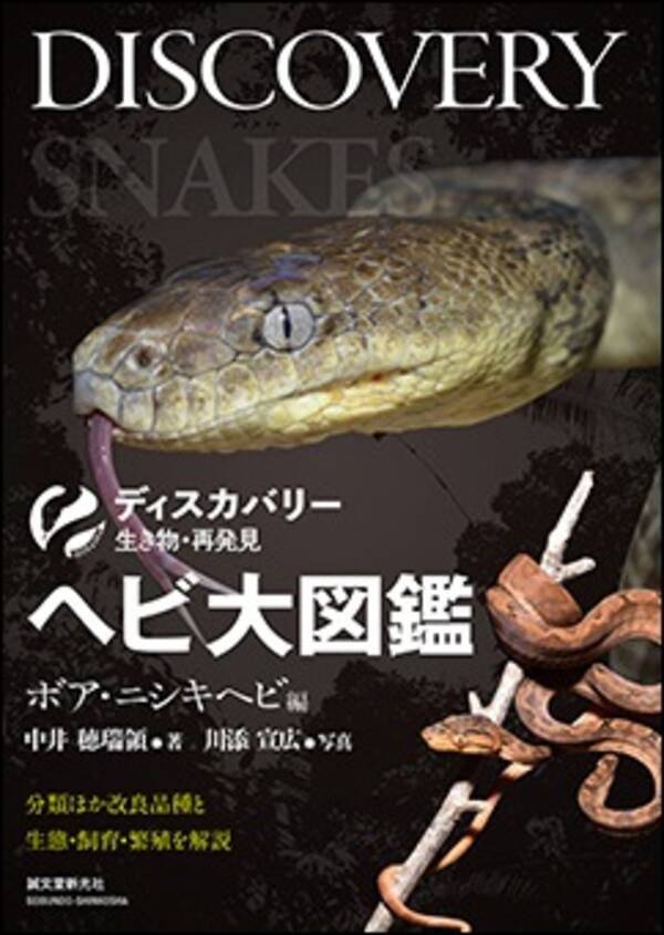 美しくダイナミックな大蛇の世界 ニシキヘビとボアにフォーカスした図鑑 年7月11日 エキサイトニュース