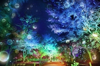 ソーシャルディスタンスを参加型アートに！二条城夏季特別ライトアップ開催