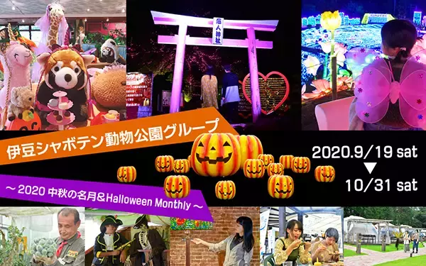 イベント目白押し！伊豆シャボテン動物公園グループ「中秋の名月＆Halloween」開催