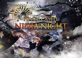 「世界遺産・姫路城を光と音で演出！「HIMEJI CASTLE NINJA NIGHT 2020」開催」の画像1