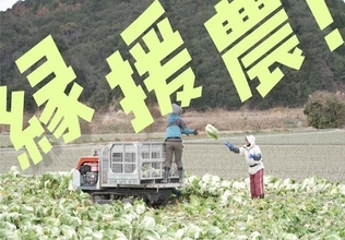 兵庫県淡路島で農業労働力支援の現場に密着。日本農業新聞がJA全農と連携し動画を公開