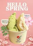 「【大阪府】GELATERIA solegeから、春のお花見フレーバー「桜」「よもぎ」が期間限定で登場！」の画像1