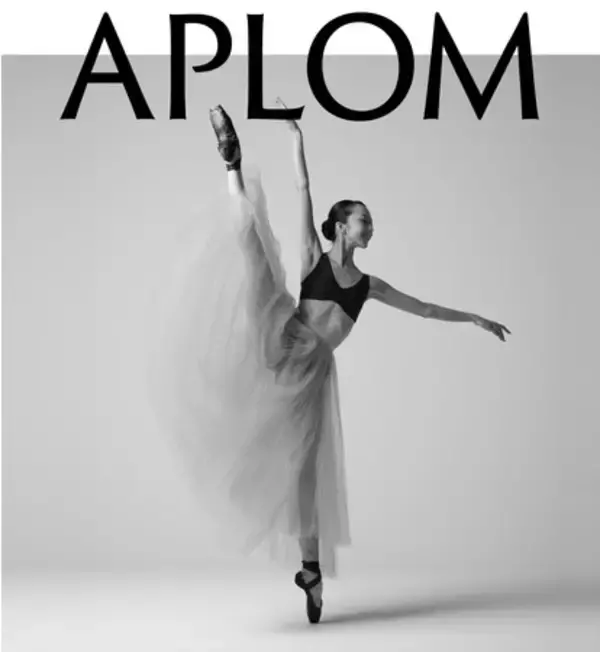 シームレスインナーウェア「APLOM」から、薄手でラインが服に響かない下着登場！