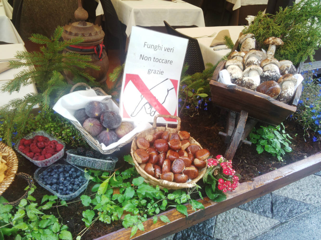 イタリア、ボローニャで過ごす 初めての海外3ヶ月　Part1