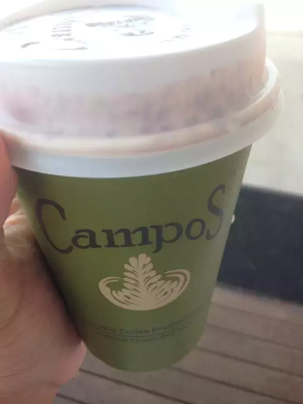 「早大生が行く！はじめてのケアンズ短期留学Cafe」の画像