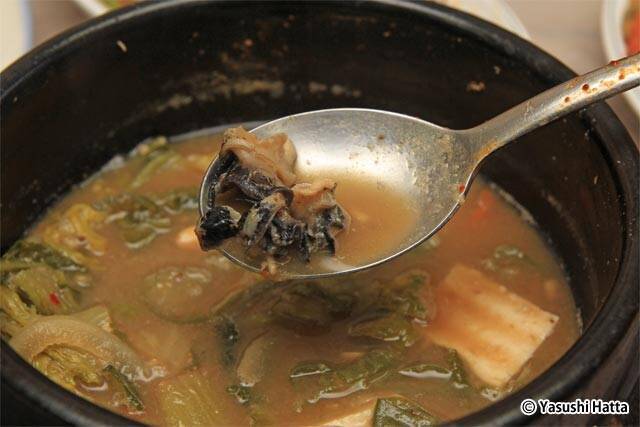 道庁移転で注目度の高まるグルメ都市にて朝食探しのコツを実践