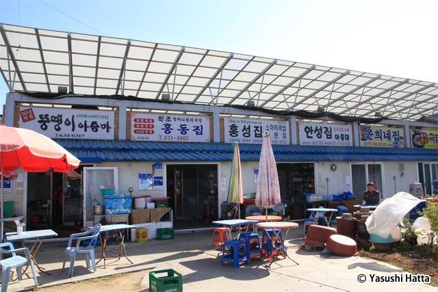 道庁移転で注目度の高まるグルメ都市にて朝食探しのコツを実践