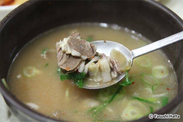 道庁移転で注目度の高まるグルメ都市にて朝食探しのコツを実践