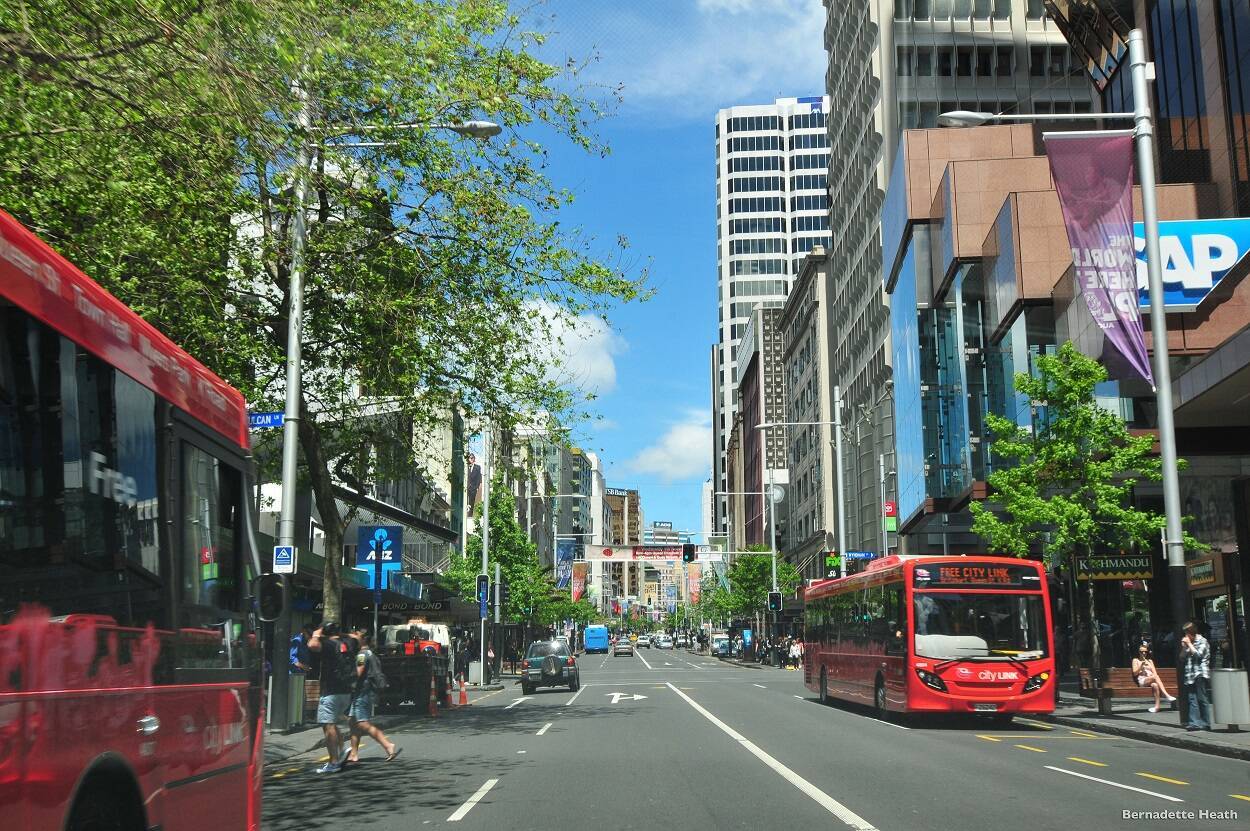 治安も天気も◎の国。担任制でじっくり学習を見てもらえる！