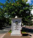 「早大生の交換留学―ハワイ大学へ！」の画像1