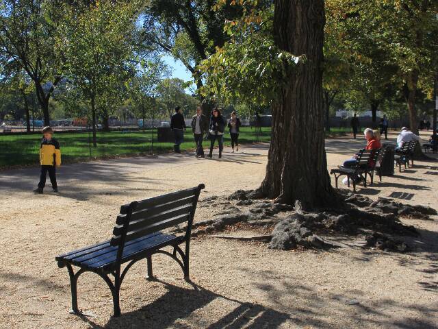 ワシントンDC  この秋「スミソニアン博物館群」が最高におもしろい！