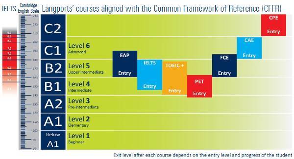 ラングポーツの人気プログラム「TOEIC+コース」の魅力とは？！