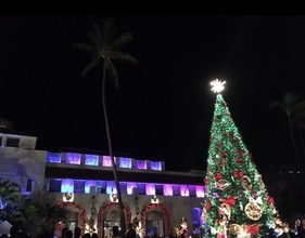 早大生の交換留学―違和感満載!ハワイ真夏のクリスマス