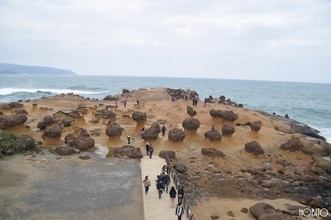 台北からバスで行ける柳地質公園（クイーンヘッド）は奇形岩の宝庫