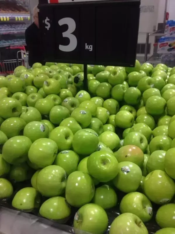 「早大生が行く！はじめてのケアンズ短期留学学校初日」の画像