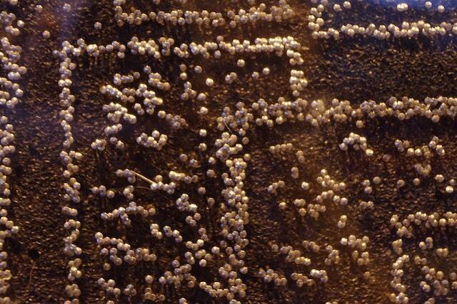 ケーブルカーで登山気分！ペナン島で標高が一番高いペナンヒルへ行こう