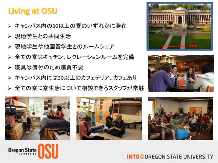 【大学生必見】4月からの休学留学おすすめプラン3つをご紹介！