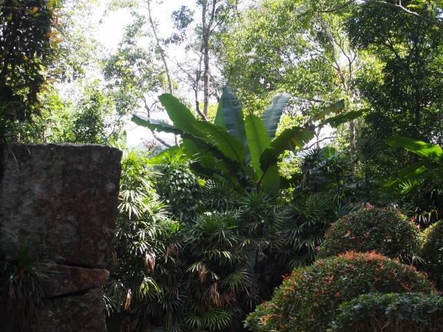 熱帯雨林地帯マレーシアにある高度1000mにある世界初の日本庭園