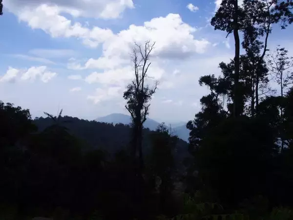 「熱帯雨林地帯マレーシアにある高度1000mにある世界初の日本庭園」の画像