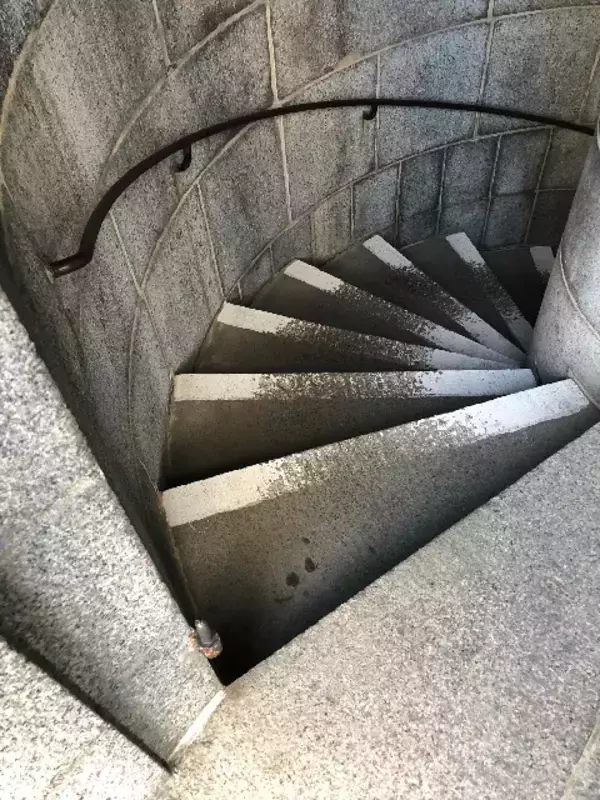 「充実の放課後アクティビティ。NESEのボストン散策！」の画像