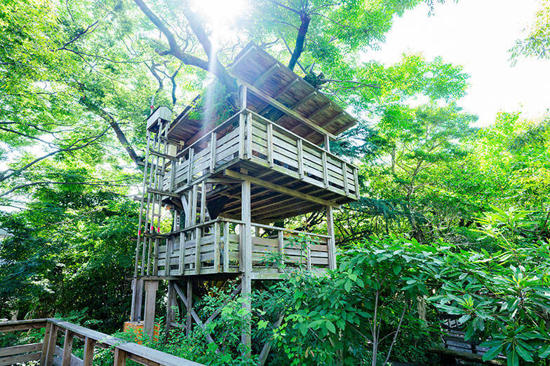 知的障がい者支援施設の中にある大人気の森のレストラン、常連「マニュアル的じゃないのがいい」。地域共生で福祉の常識変える鹿児島「しょうぶ学園」が素敵すぎる