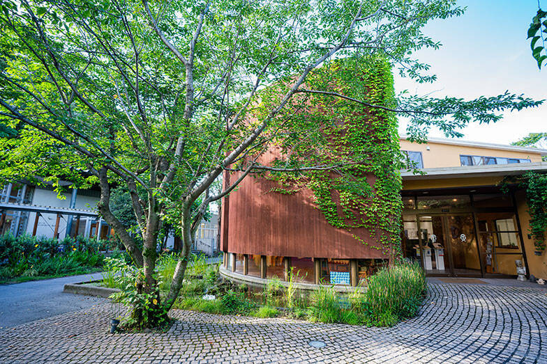 知的障がい者支援施設の中にある大人気の森のレストラン、常連「マニュアル的じゃないのがいい」。地域共生で福祉の常識変える鹿児島「しょうぶ学園」が素敵すぎる