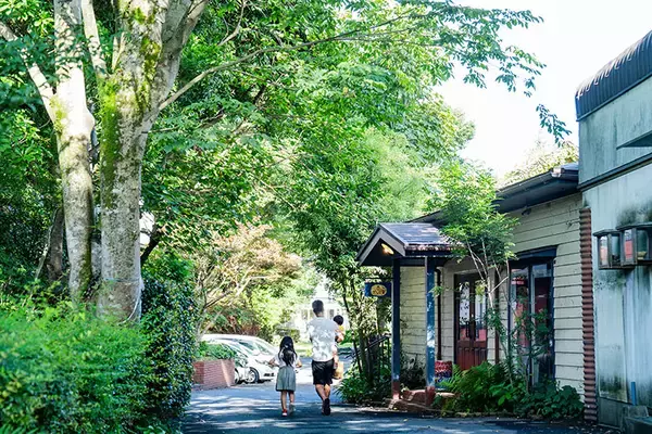 「知的障がい者支援施設の中にある大人気の森のレストラン、常連「マニュアル的じゃないのがいい」。地域共生で福祉の常識変える鹿児島「しょうぶ学園」が素敵すぎる」の画像