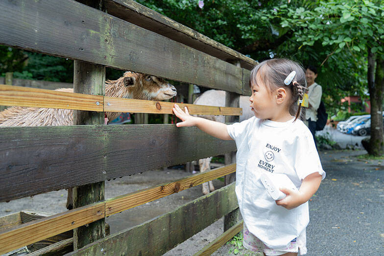 知的障がい者支援施設の中にある大人気の森のレストラン、常連「マニュアル的じゃないのがいい」。地域共生で福祉の常識変える鹿児島「しょうぶ学園」が素敵すぎる