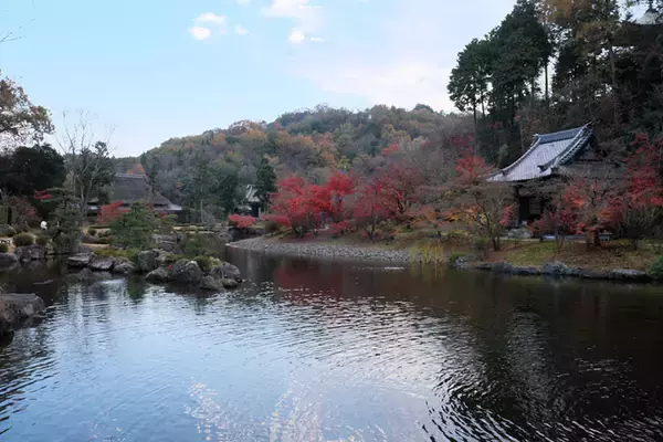 「「ひろしま国際建築祭2025」初開催で20万人が熱狂。尾道・福山で巡る安藤忠雄、坂 茂ら建築界レジェンドの展示の数々【建築ライターがレポート】」の画像