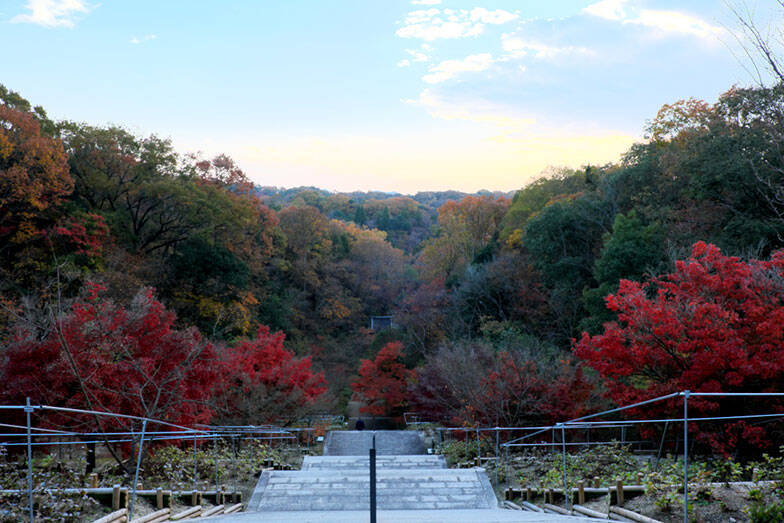 「ひろしま国際建築祭2025」初開催で20万人が熱狂。尾道・福山で巡る安藤忠雄、坂 茂ら建築界レジェンドの展示の数々【建築ライターがレポート】