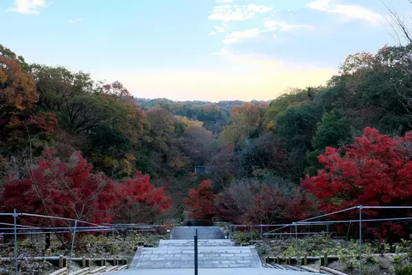 「「ひろしま国際建築祭2025」初開催で20万人が熱狂。尾道・福山で巡る安藤忠雄、坂 茂ら建築界レジェンドの展示の数々【建築ライターがレポート】」の画像