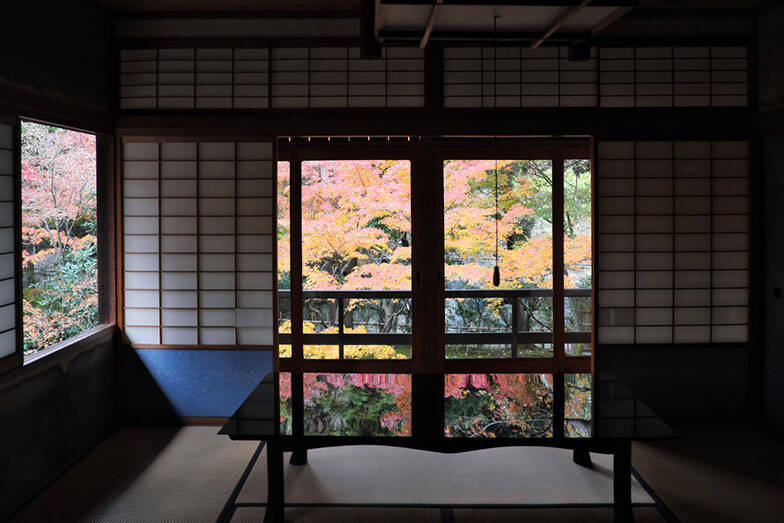 「ひろしま国際建築祭2025」初開催で20万人が熱狂。尾道・福山で巡る安藤忠雄、坂 茂ら建築界レジェンドの展示の数々【建築ライターがレポート】