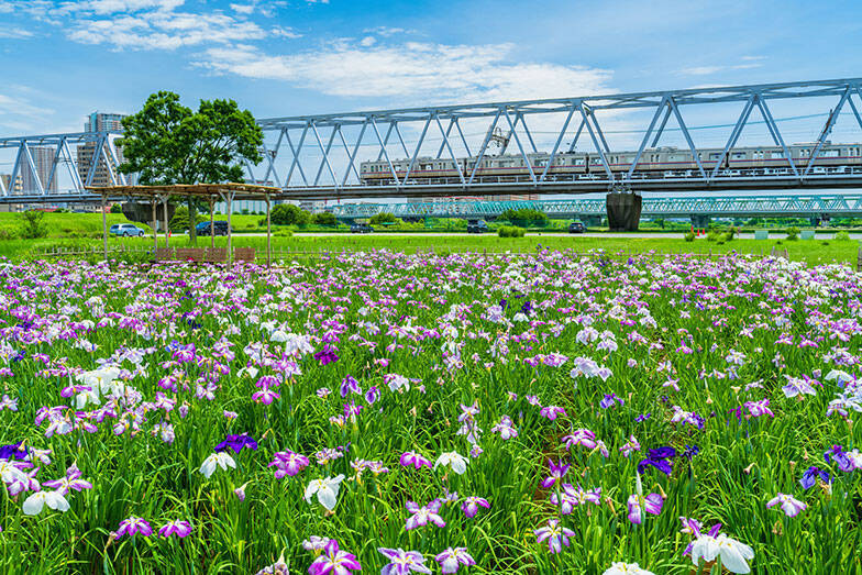 【2026年】東京23区「家賃が安い駅」ランキング！1位は6万円台の江戸川駅。都心へ好アクセスな“本当の穴場”は？