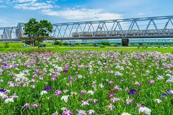 「【2026年】東京23区「家賃が安い駅」ランキング！1位は6万円台の江戸川駅。都心へ好アクセスな“本当の穴場”は？」の画像