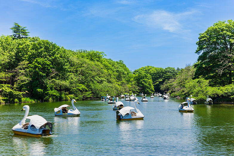 【明治大学】一人暮らし賃貸の家賃相場ランキング2026年！ 和泉キャンパス周辺のクチコミ＆オススメ情報