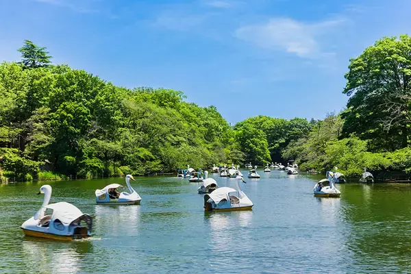 「【明治大学】一人暮らし賃貸の家賃相場ランキング2026年！ 和泉キャンパス周辺のクチコミ＆オススメ情報」の画像