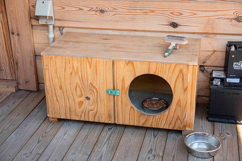 70代男性のお手製ミニログハウス「多目的な趣味の部屋が欲しかった」。カラオケにラジコン…。250万円でつくった家から10秒の”男の隠れ家”にお邪魔します